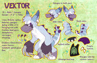 Commission - Vektor Ref Sheet [F5]