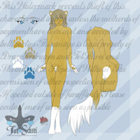 ADOPTABLE ATTEMPT NUMBER 2