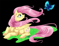 Fluttershy Transfer Design