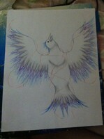 flight. photographed.