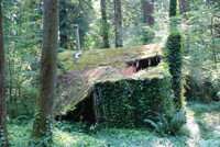 Nature won