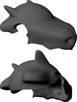 Cubone Skull Test
