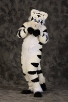 Blitz-tiggy fursuit FC 2008