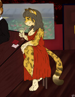 [Old] Across The Bar