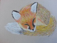 Sleeping Fox
