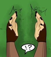 Commission 11: Hand Problems