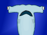 Hammer Head Shark