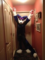 me in my fursuit