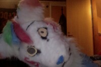 ~Rainbow Fox has got new Eyes~