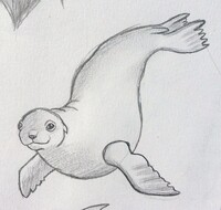 Seal