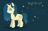 Night Bright