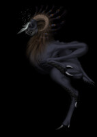 Mountain forest thing