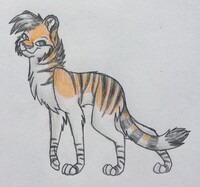 Tigress Design