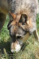 I smelt what you did here...