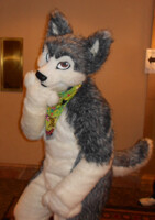 Mischief time? RMFC 2013