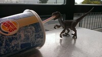 Modern Dinosaur?
