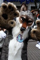 Suitwalk before CFD 11 - Akando (Lagan)