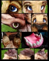 Features of Nero, Closeups.