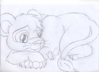 macro Simba sketch