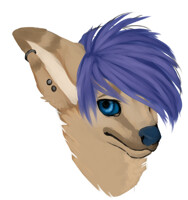 Headshot commission