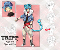 TripP Reference 