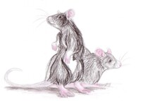 Ratty Portrait