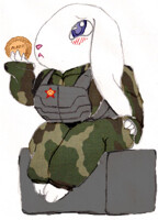 Scheu - Clan support