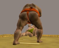 突き倒し/Tsukitaoshi2