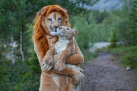 Khibiny - Lioness