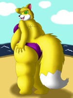 Funfest's Bikini