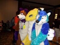 Vin, Renamon and Ari