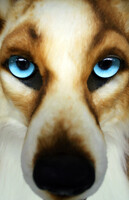 Nothin' but blue skies