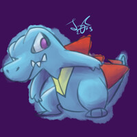 Totodile Practice
