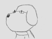 34 Dog