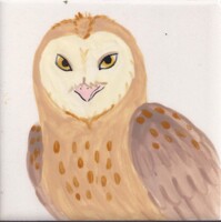 Barn Owl Tile