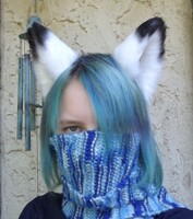 Wolf Ears for Tailwhitefur