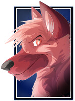 Headshot: Shaun Pup