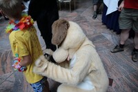 EF 19: Shirt signing