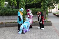 EF 19: Wooing Templa