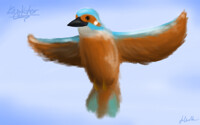 Kingfisher (kinda)