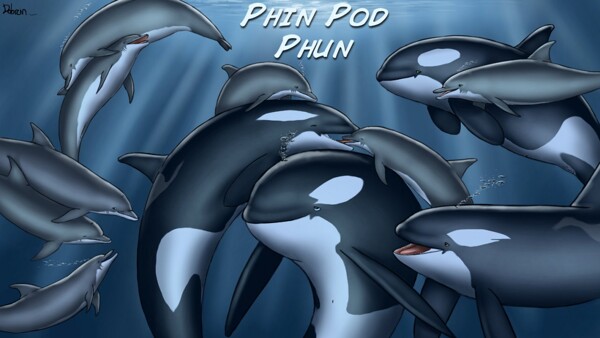 Are dolphins gay sharks