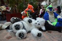 Eurofurence 19