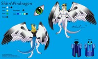 ShiinWindragon Ref (SFW) - BlackChimera