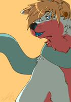 Step from the road to the sea to the sky