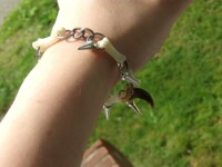 Coyote toe bone bracelet