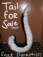 TAIL FOR SALE 