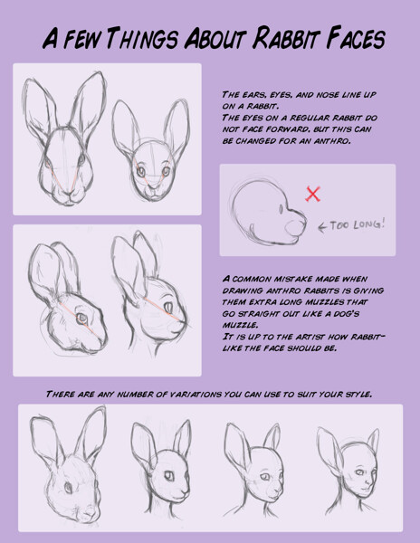 8 Rabbit eyes ideas  rabbit art, rabbit, bunny art