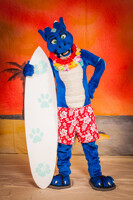 EF 19 - Hawaii PS - "no waves, no glory"