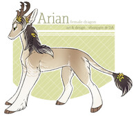 Arian