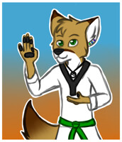 Tae Kwon Do Fox 